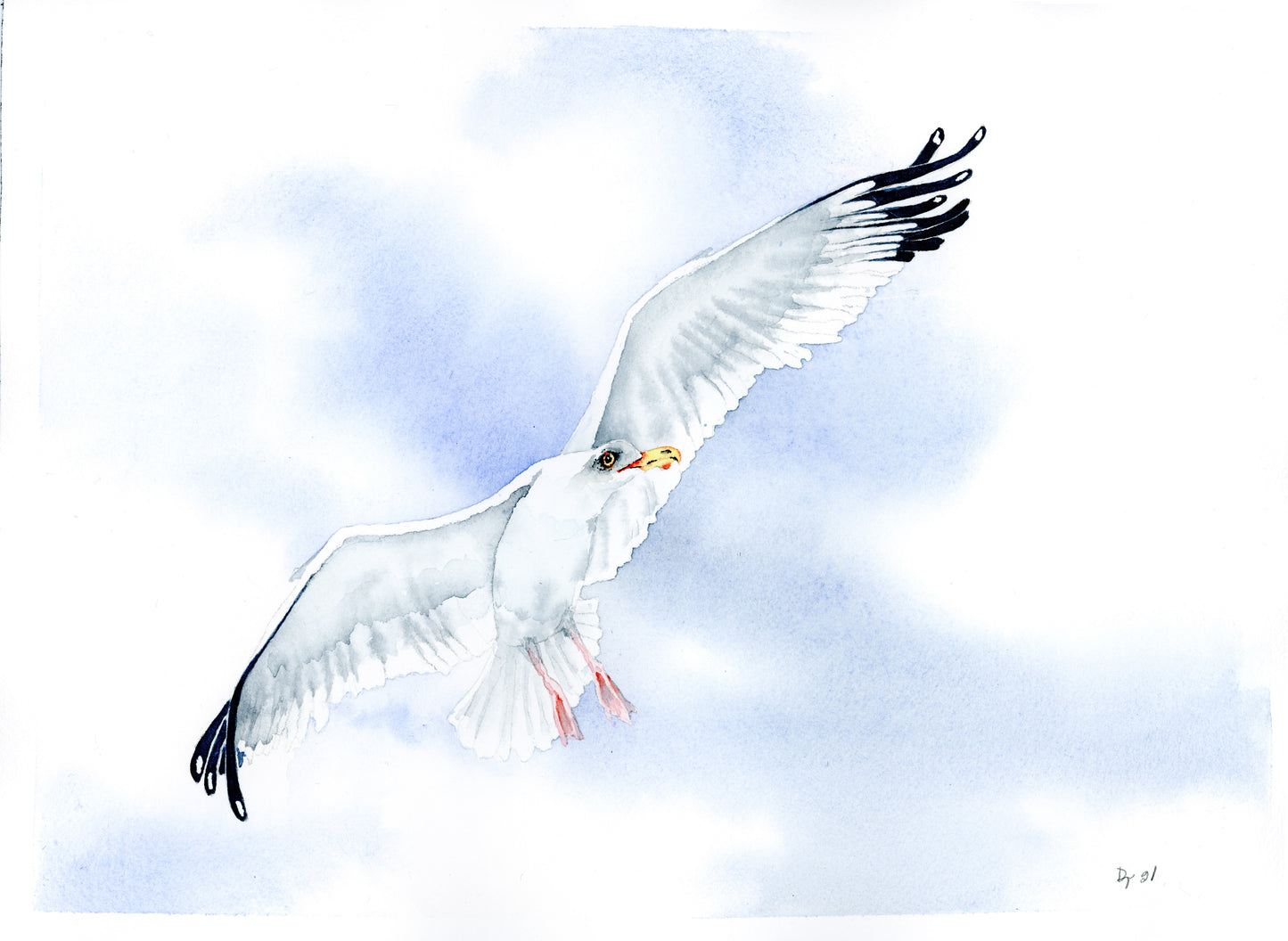 Seagull Poster