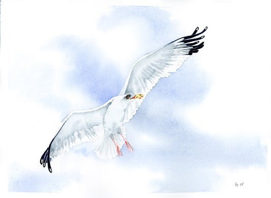Seagull Poster