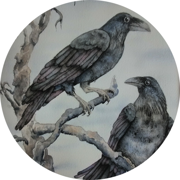 Huginn&Muninn 